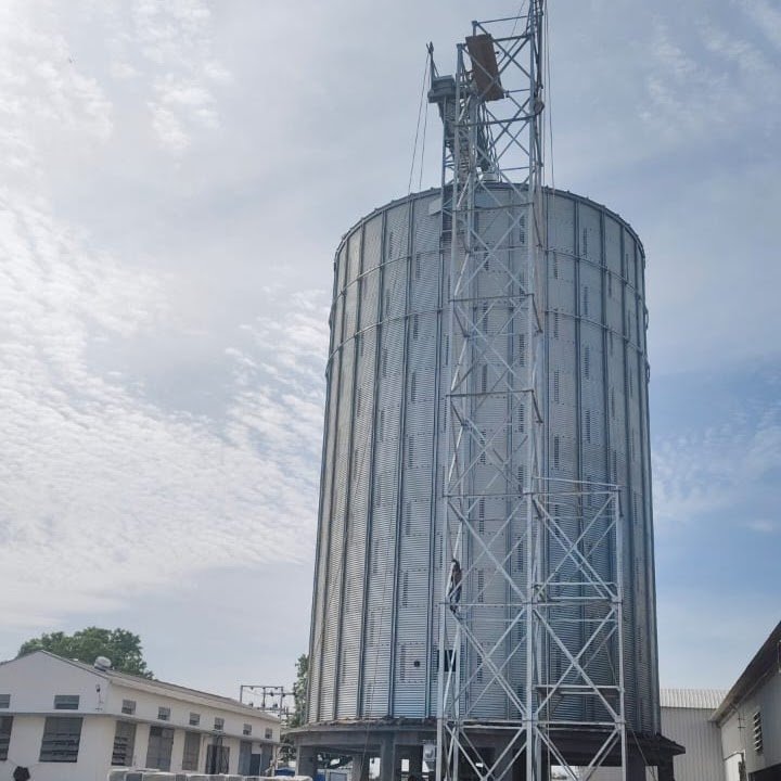 Silo Erection